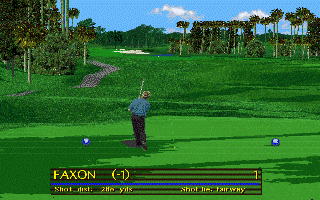 PGA Tour Golf 486