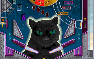Pinball Wizard 2000 - Die Flipper